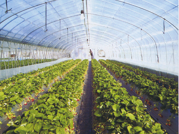 聚乙烯事業(yè)部